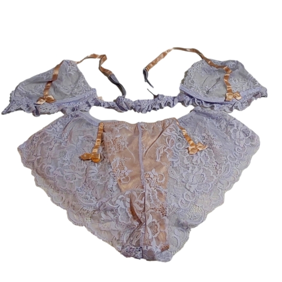 VICTORIA SECRETS DREAM ANGEL LINGERIE SETS BRAS SIZE 36B PANTY SIZE MEDIUM - Picture 4 of 6